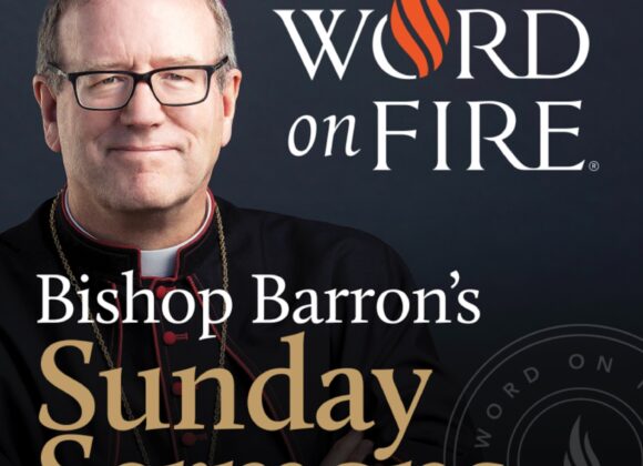 Confronting the Powers That Be – Bishop Barron’s Sunday Sermon